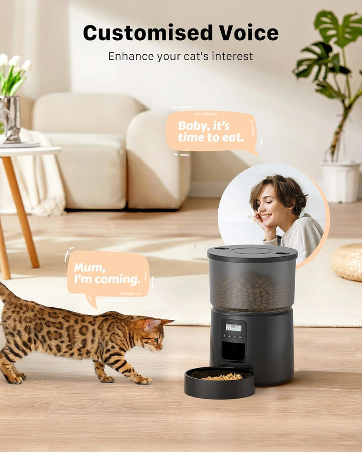 BEMOONY 5L Futterautomat Katze, Katzenfutter Automat mit Programmierbarem Timer, 1-6 Mahlzeiten pro
