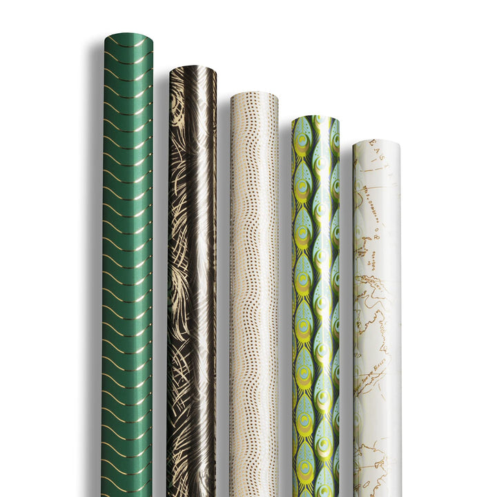 Clairefontaine 212871AMZC - Karton mit 10 Rollen Geschenkpapier Premium 2mx0m70 80g, sortierte Motiv