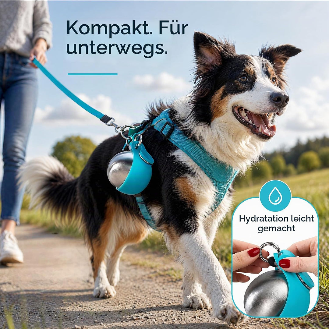 Trinkflasche Hunde für Unterwegs, Hundetrinkflasche Wasserflasche 285ml Hundewasserflasche für Spazi