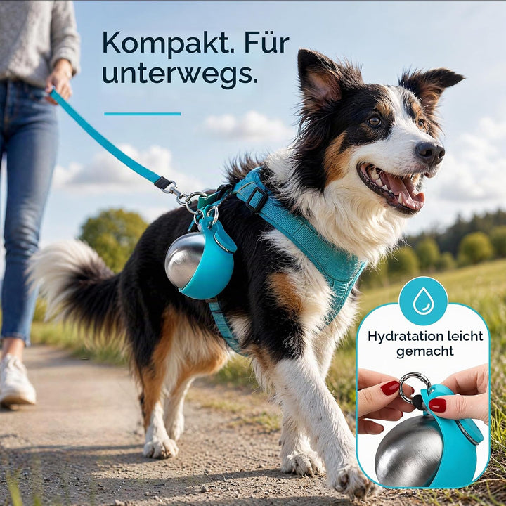 Trinkflasche Hunde für Unterwegs, Hundetrinkflasche Wasserflasche 285ml Hundewasserflasche für Spazi