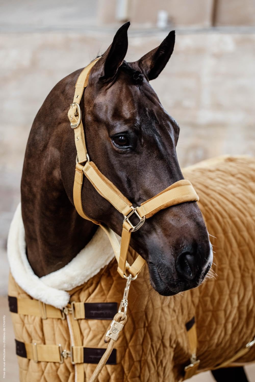 Kentucky Horsewear Show Rug Velvet Turnierdecke, Grösse:125, Farbe:Mustard 125 Mustard, 125 Mustard