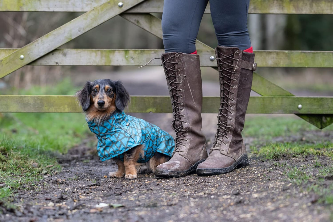 Rukka Pets HAYTON WARM Raincoat Regenmantel für Hunde Aqua 55 55 Aqua, 55 Aqua