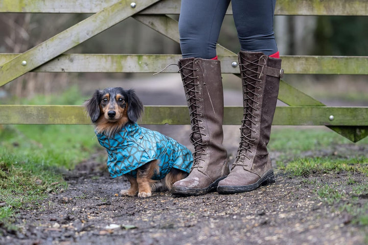 Rukka Pets HAYTON WARM Raincoat Regenmantel für Hunde Aqua 55 55 Aqua, 55 Aqua