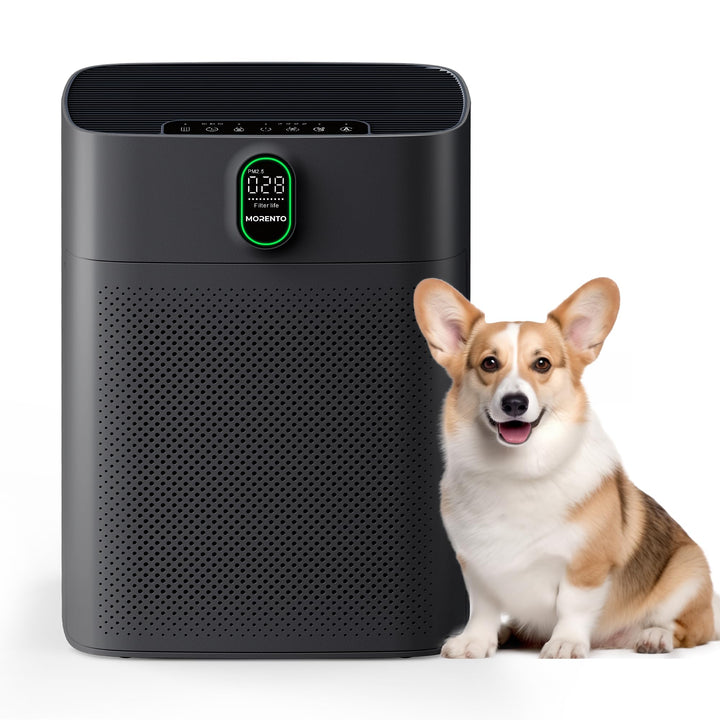 MORENTO Luftreiniger für Zuhause, grosse Räume bis zu 1076 m² mit PM 2,5 Display, Luftqualitätssenso