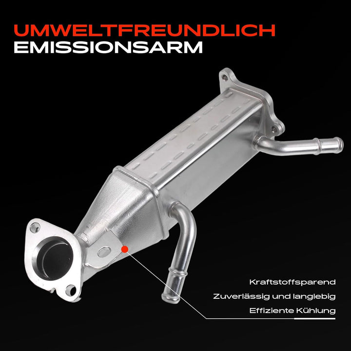 Frankberg AGR-Ventil Kompatibel mit Transit FF DB 2007-2014 Transit V363 2013-2018 Transit Custom V3