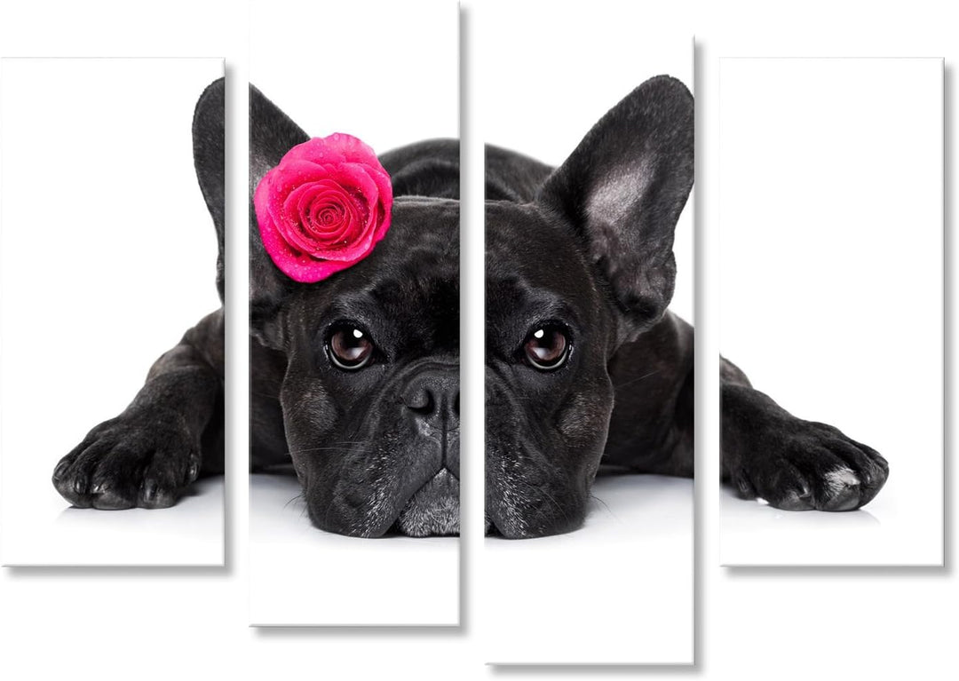 islandburner Bild auf Leinwand Hund der französischen Bulldogge, der Sie, beim Lügen aus den Grund o