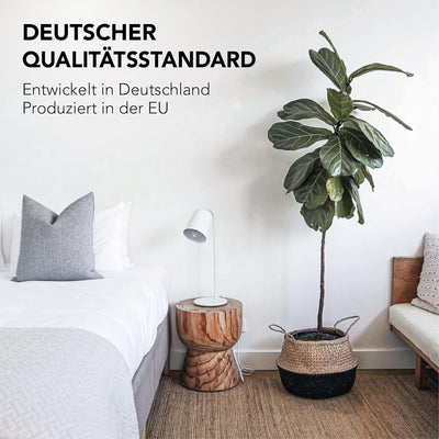 XDREAM Pure Winterbettdecke | warme Bettdecke für den Winter | Allergiker geeignet | Waschbar 60 Gra