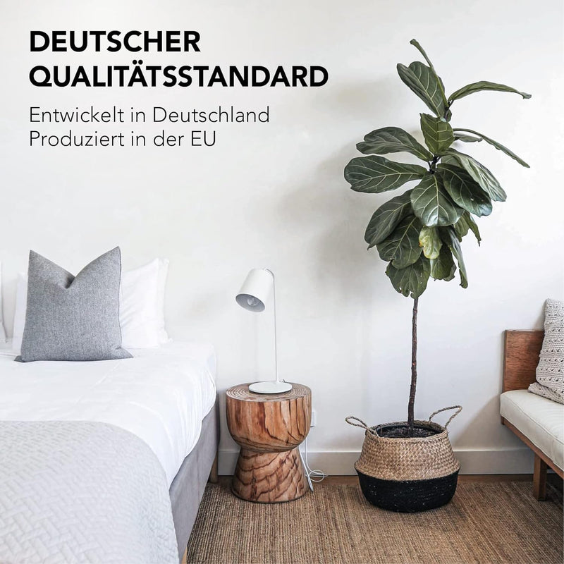 XDREAM Pure Winterbettdecke | warme Bettdecke für den Winter | Allergiker geeignet | Waschbar 60 Gra