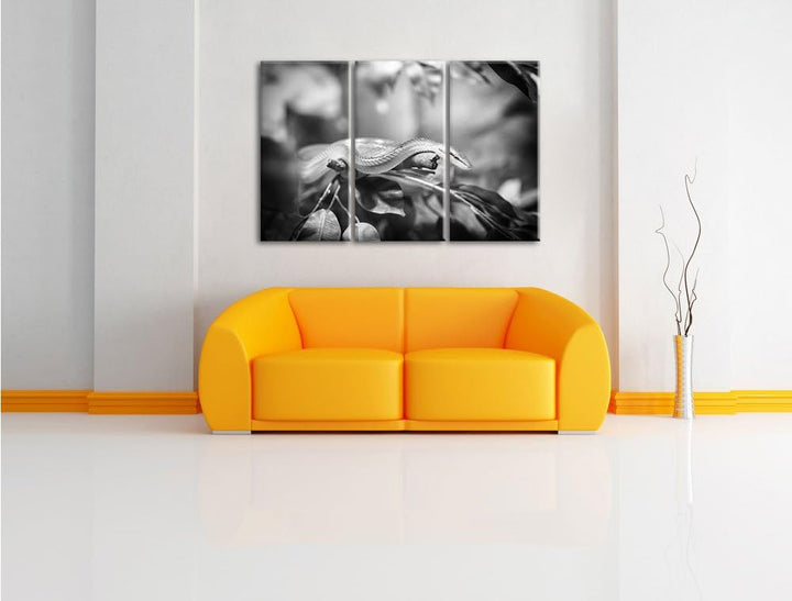 Pixxprint Raue grüne Schlange Kunst B&W als Leinwandbild/Grösse: 3 Teilig (120x80 cm) cm/Wandbild/Ku