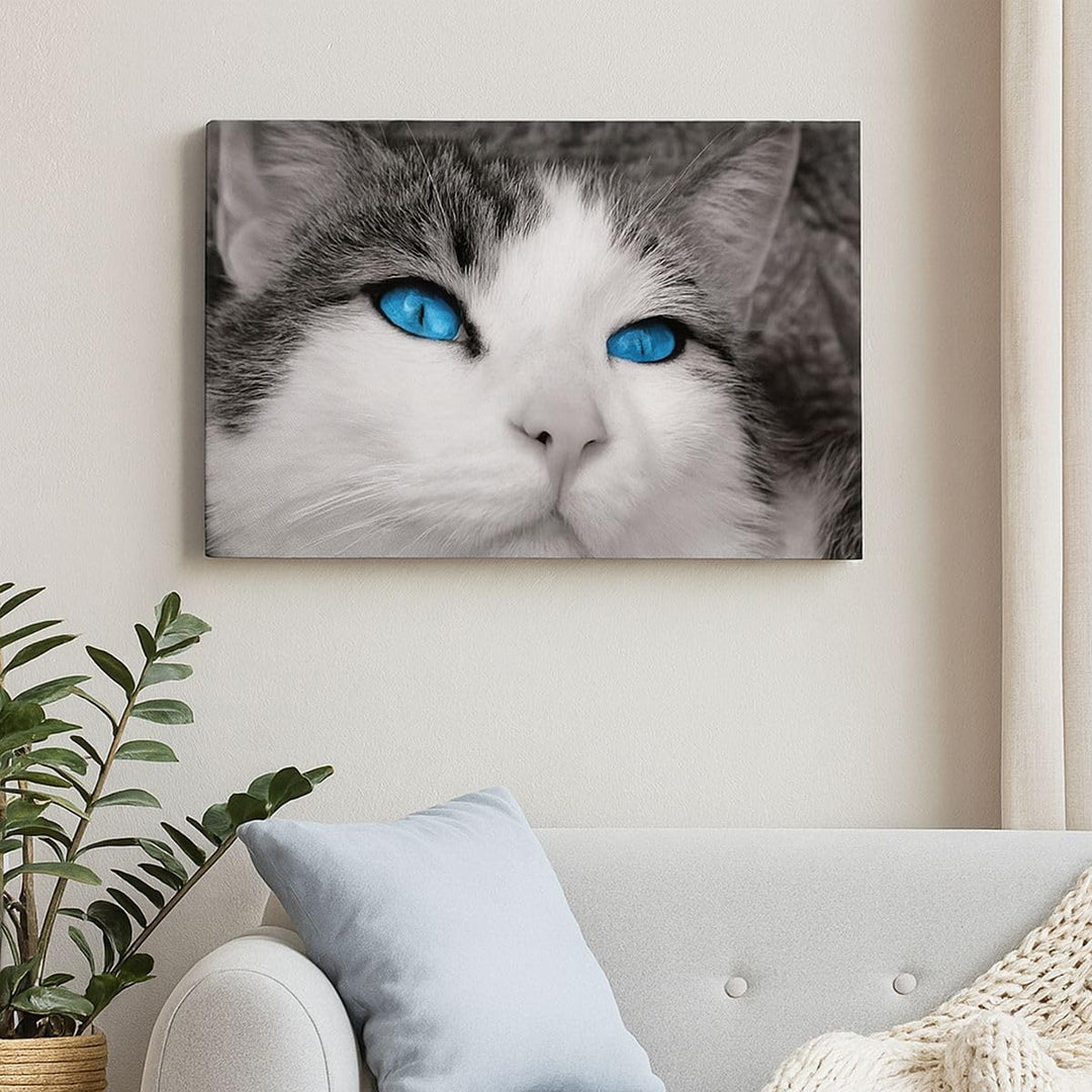 Bilder auf Leinwand 100x70cm Leinwandbild Katze Tiere blaue Augen Gross Wanddeko Bild Schlafzimmer K