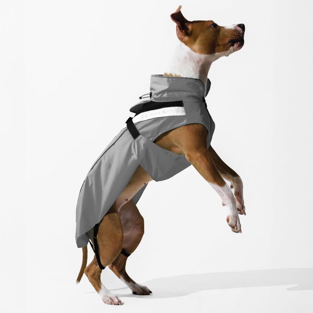 DOGOPAL Regenmantel Hund wasserdicht für kleine & grosse Hunde - Gelber Hunderegenmantel mit Reflekt