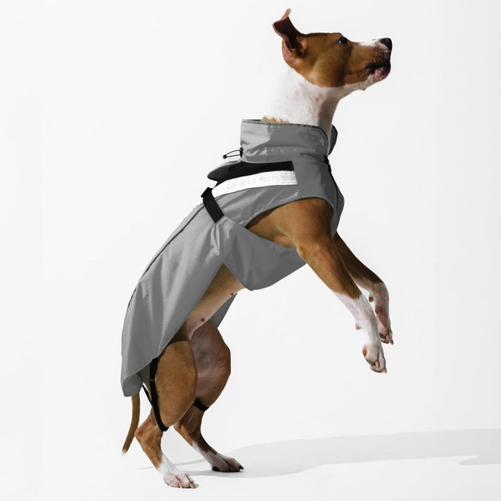 DOGOPAL Regenmantel Hund wasserdicht für kleine & grosse Hunde - Gelber Hunderegenmantel mit Reflekt