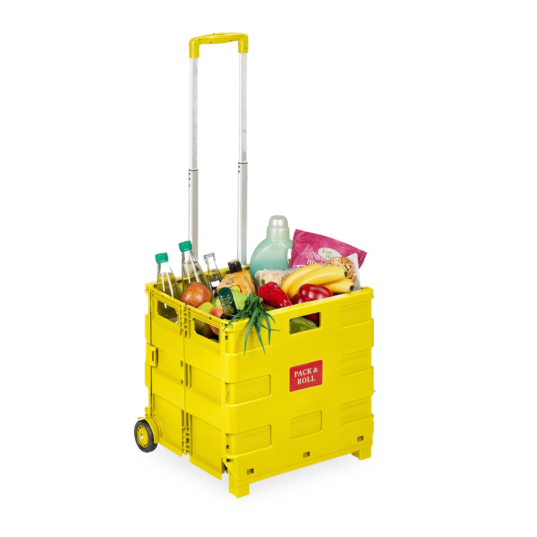 Relaxdays Einkaufstrolley, Klapptrolley mit Rollen & Teleskopgriff, bis 35 kg, Faltbare Einkaufshilf