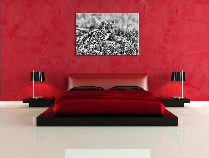 Pixxprint junger Leopard im Gras / 100x70cm Leinwandbild bespannt auf Holzrahmen/Wandbild Kunstdruck