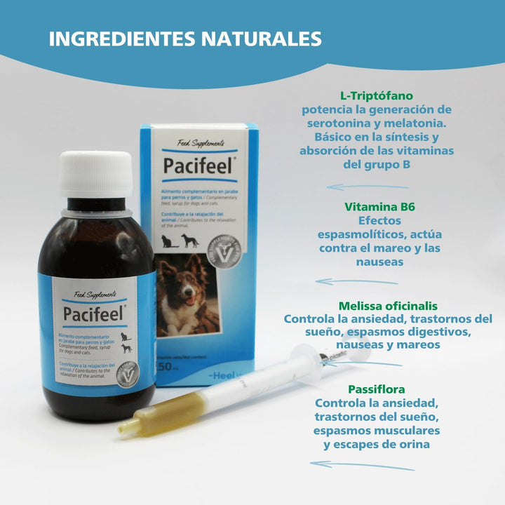 Pacifeel 18533 Pacific 100 ml Syrup, Plastic