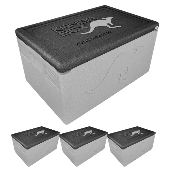 Professional Thermobox & Kühlbox GN 1/1 48L Standardgriff – Patentierte Glatte Innenfläche – Top Iso
