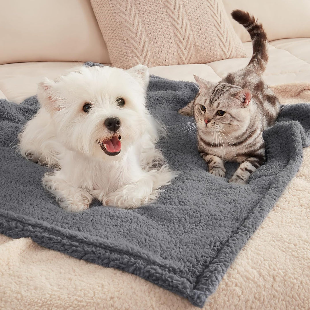 1 Pack 3 Decken Super Weich Premium Flauschig Hundedecke Katzendecke für Haustier Hunde Katze Welpe