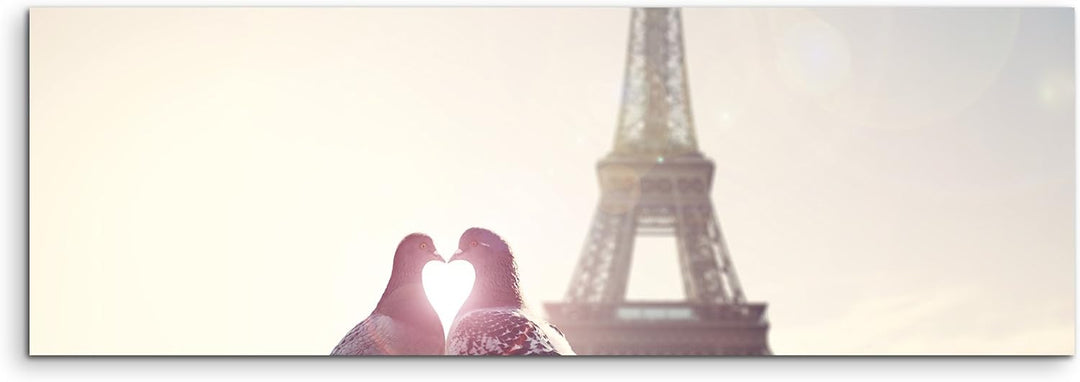 Paul Sinus Art Panoramabild 150x50cm Fotografie – Turteltauben vor dem Eiffelturm Paris auf Leinwand