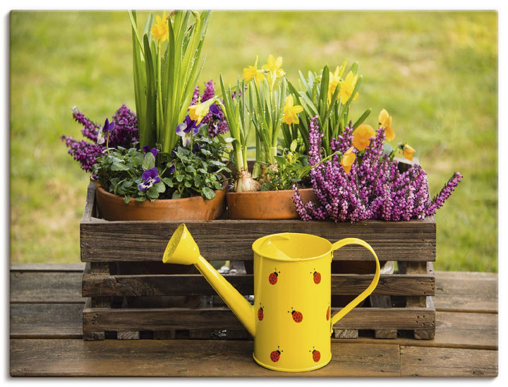 ARTland Leinwandbilder Wandbild Bild Leinwand 60x45 cm Garten Blumen Frühling Narzissen Stiefmütterc