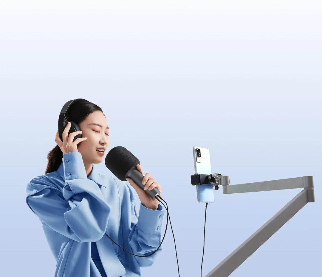Karaoke Microphone