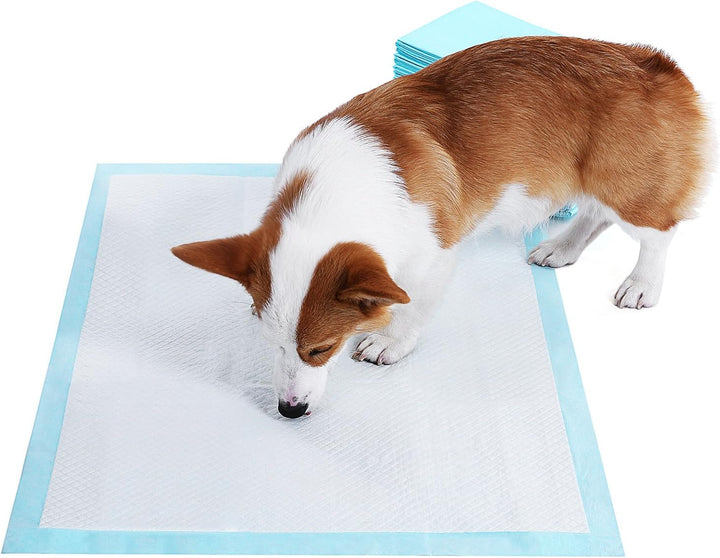 Feandrea Puppy Pads, Welpen-Unterlage, 60 x 60 cm, 100 Stück, blau-weiss PTD60B M (60 x 60 cm), M (6