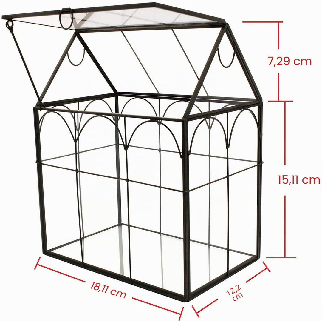 ElegantLife Geometrisches Terrarium aus Glas für Sukkulenten und Luftpflanzen (Keine Pflanze im Lief