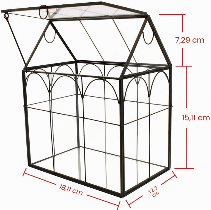 ElegantLife Geometrisches Terrarium aus Glas für Sukkulenten und Luftpflanzen (Keine Pflanze im Lief