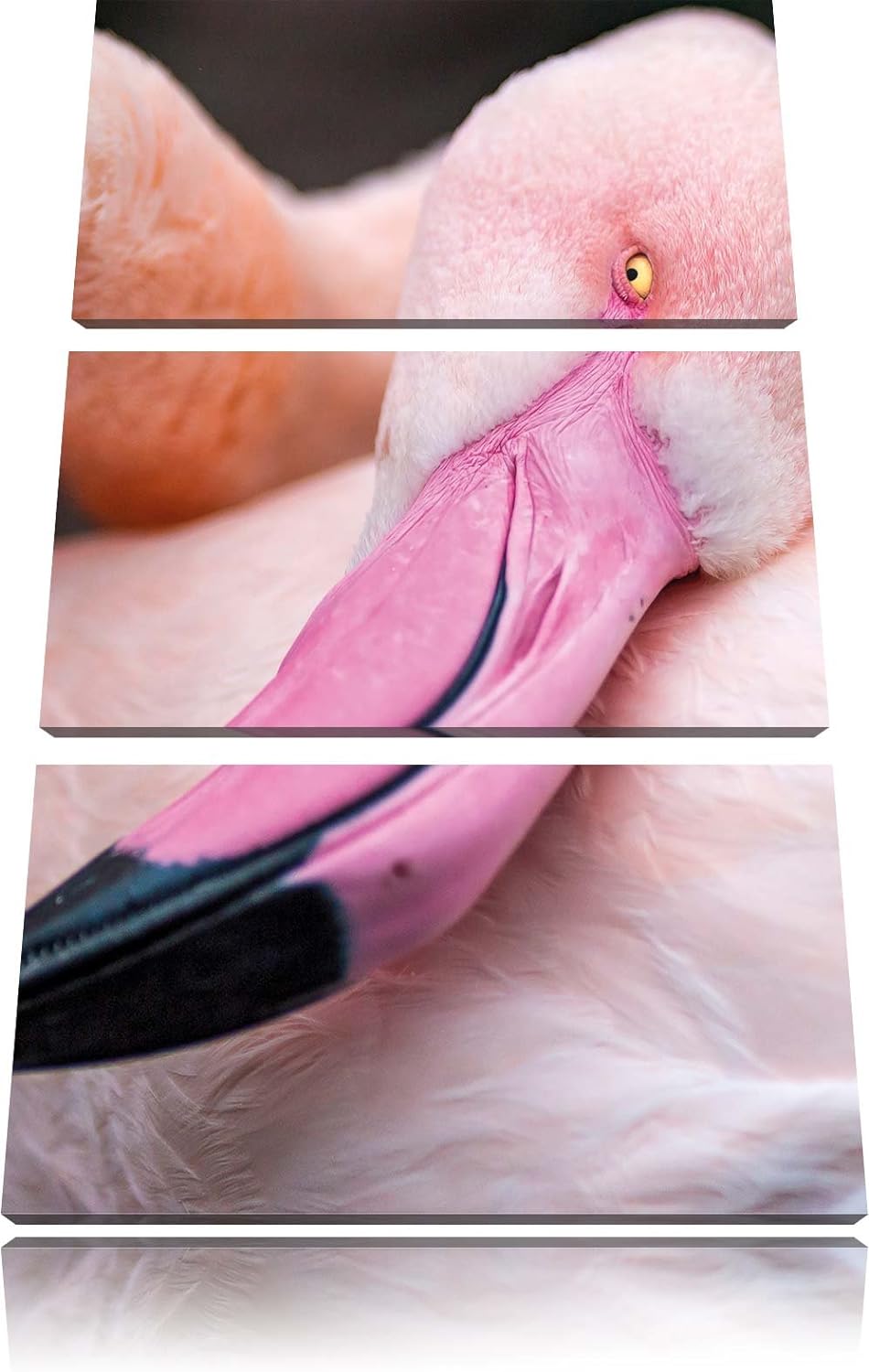 Pixxprint Aufblühende Sonnenblume als Leinwandbild/Grösse: 3 Teilig (120x80) / Wandbild/Kunstdruck/f