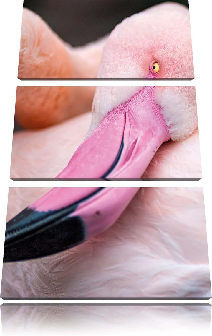 Pixxprint Aufblühende Sonnenblume als Leinwandbild/Grösse: 3 Teilig (120x80) / Wandbild/Kunstdruck/f