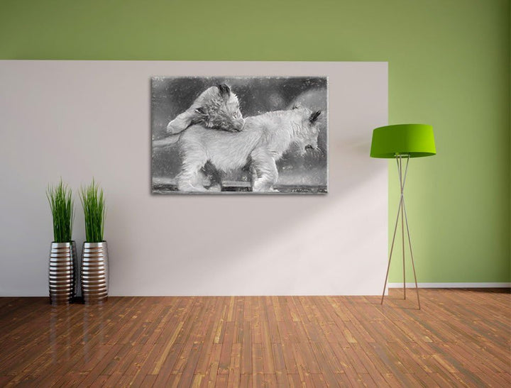 Löwenjunge beim Spielen Deluxe Format: 100x70 cm auf Leinwand, XXL riesige Bilder fertig gerahmt mit
