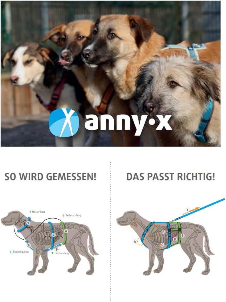 Anny-X Brustgeschirr Open Fun | Hundegeschirr für Sensible Hunde | Farbe Oliv-Hellgrün | Gr. XXS (Br