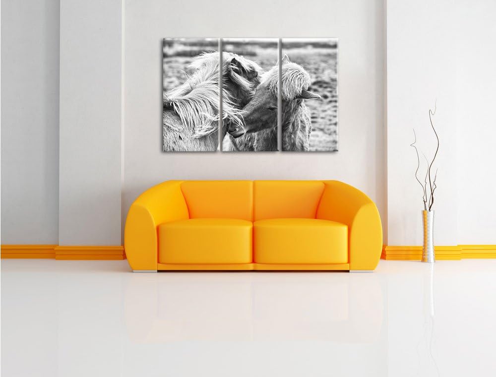 Pixxprint Islandpferde Pony Kunst B&W als Leinwandbild/Grösse: 3 Teilig (120x80) / Wandbild/Kunstdru