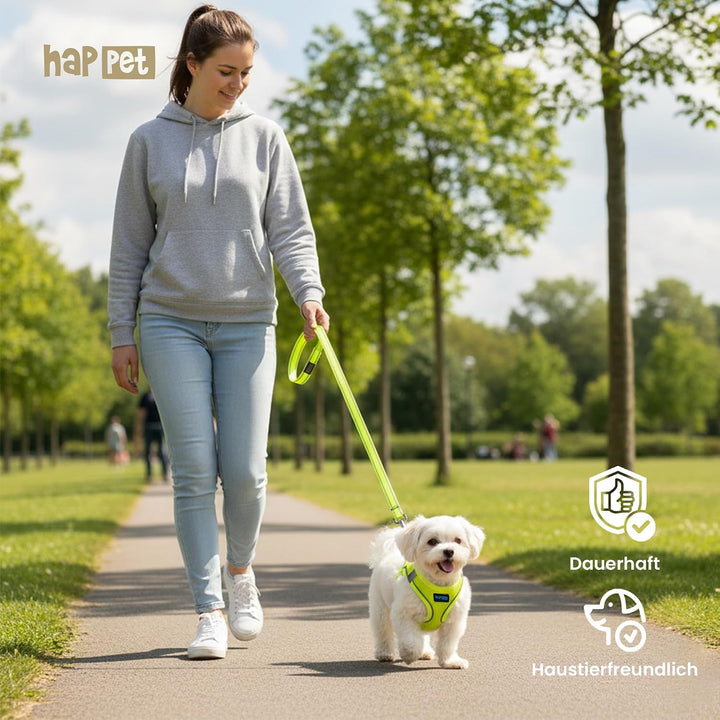 HAPPET Hundegeschirr für kleine Hunde Air Comfort XXS Neon Grün – atmungsaktives, gepolstertes &amp; ver