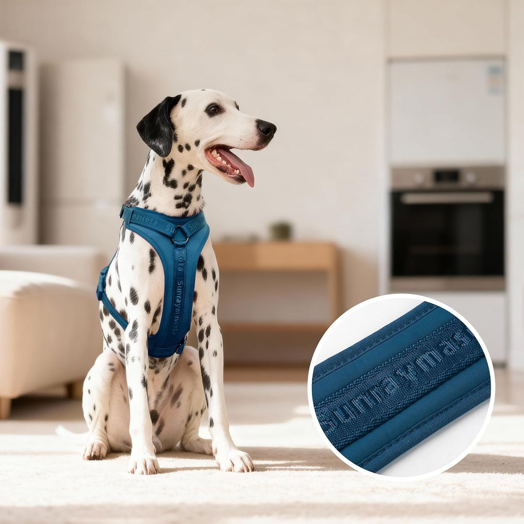 No Pull Hundegeschirr mit weicher Lycra-Polsterung, atmungsaktiver Komfortweste aus Mesh, Verstellba