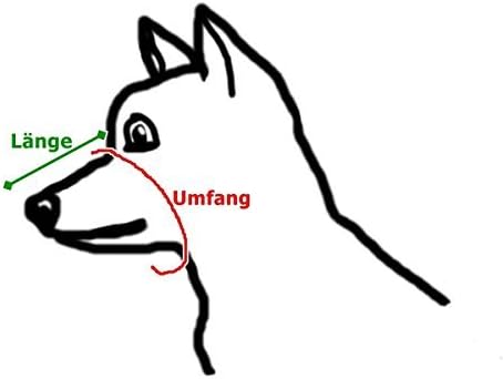 Dino Bigioni Maulkorb aus Leder für den Hund, Kleiner Mastiff Nr. 21 Länge 18 cm Umfang 45 cm