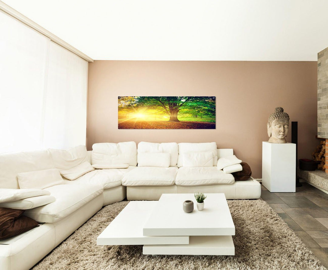 Paul Sinus Art Panoramabild auf Leinwand und Keilrahmen 150x50cm Bäume Park Herbst Blätter Sonnenstr
