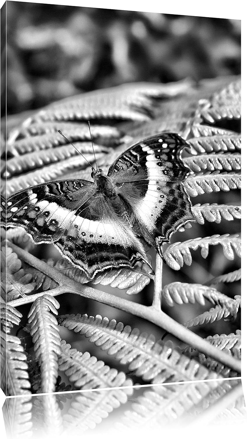 Pixxprint Monocrome, zarter Schmetterling auf Farnblatt, Format: 100x70 auf Leinwand, XXL riesige Bi