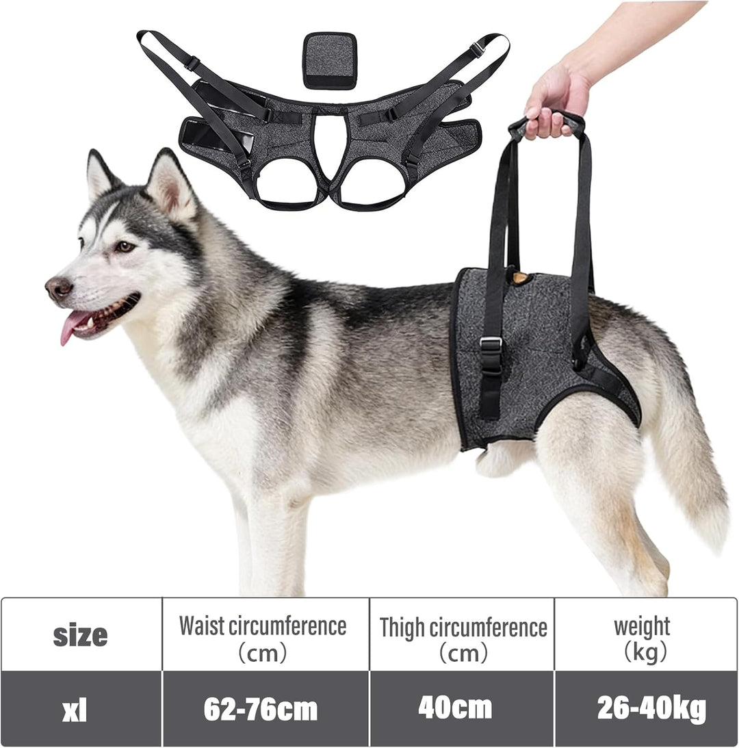 Tragehilfe Hund, Verstellbare Hunde Tragehilfe Hinterbeine, Tragegurt für Mittelgrosse & Grosse Hund