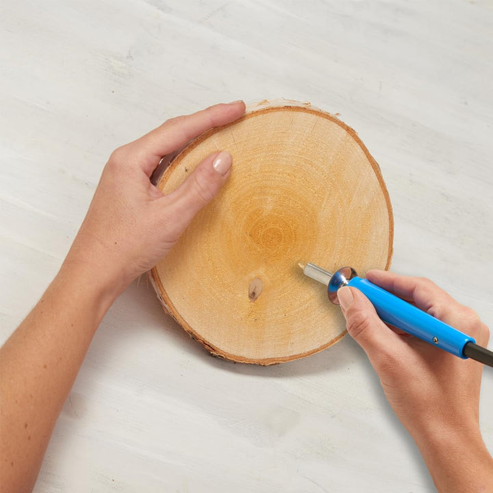 Holzscheiben in 16-18 cm Durchmesser für DIY Basteln und Dekorieren - 10 Stück runde Birkenholz Baum