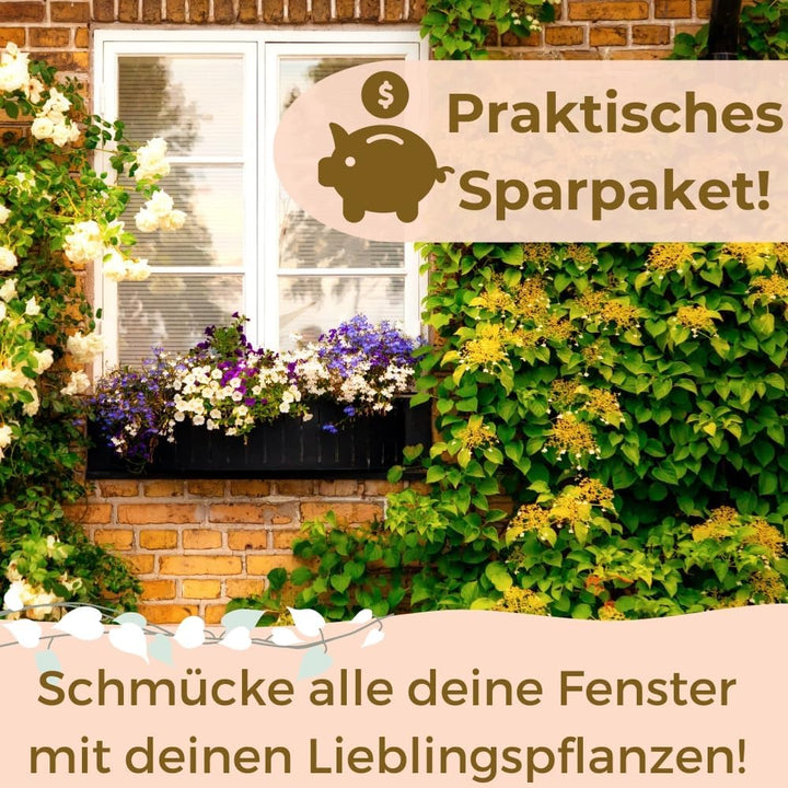 GarPet 4X Blumenkastenhalterung Fensterbank ohne Bohren unsichtbare Befestigung Blumenkasten Halteru