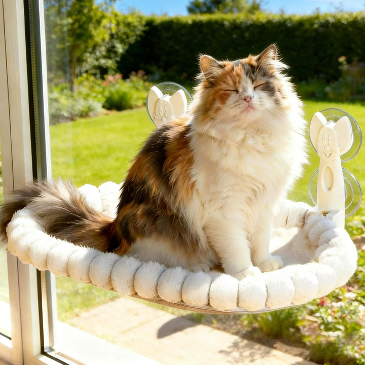 Katzen Fensterliege - 15 kg Tragkraft mit beidseitig waschbarem Kissen, Faltbare Fensterliege für Ka