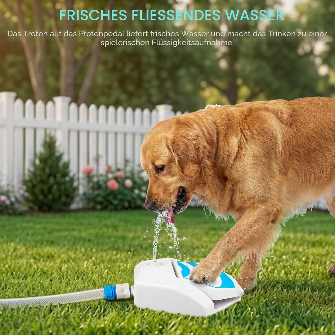 ALL FOR PAWS Hunde Trinkbrunnen Outdoor - Automatischer Wasserspender mit Sprinkler für Hunde, Hydra