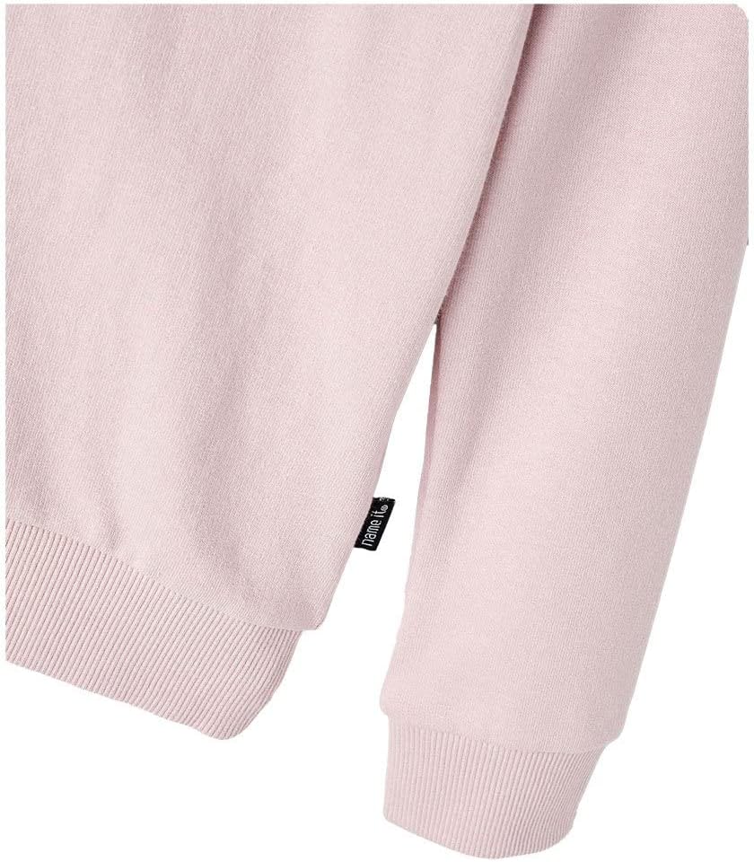 NAME IT Mädchen Kapuzen Sweater aus Bio-Baumwolle 110 Burnished Lilac, 110 Burnished Lilac