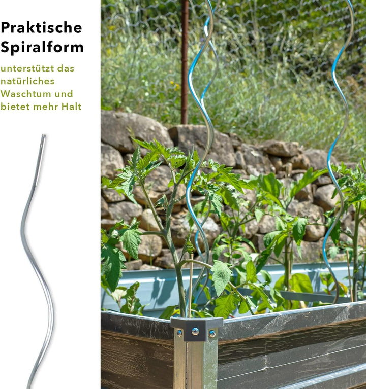 FLOORDIREKT Tomatenspiralstäbe - 180 cm Länge - 20 Stück - Tomatenstab - Spiralstab - Rankstab - Tom