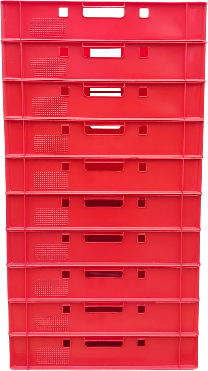 BURI 10 Stück Fleischkiste E1 Lagerkiste 60x40x12,5 cm Metzgerkiste Eurobox Rot - flache Stapelkiste