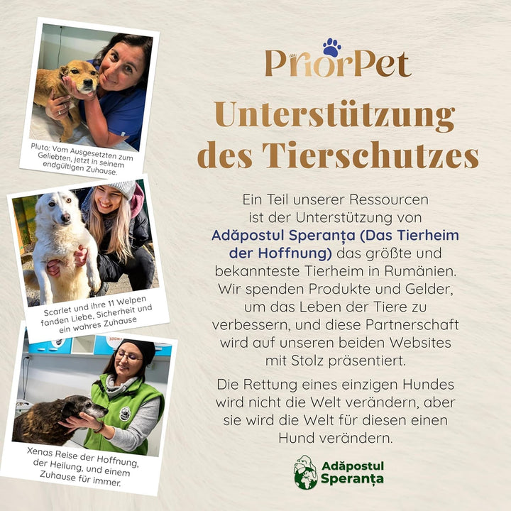Hunderampe Auto Klappbar- Teleskop Alu Rampe für grosse Hunde - Stabile Hundetreppe Auto &amp; SUV - rut