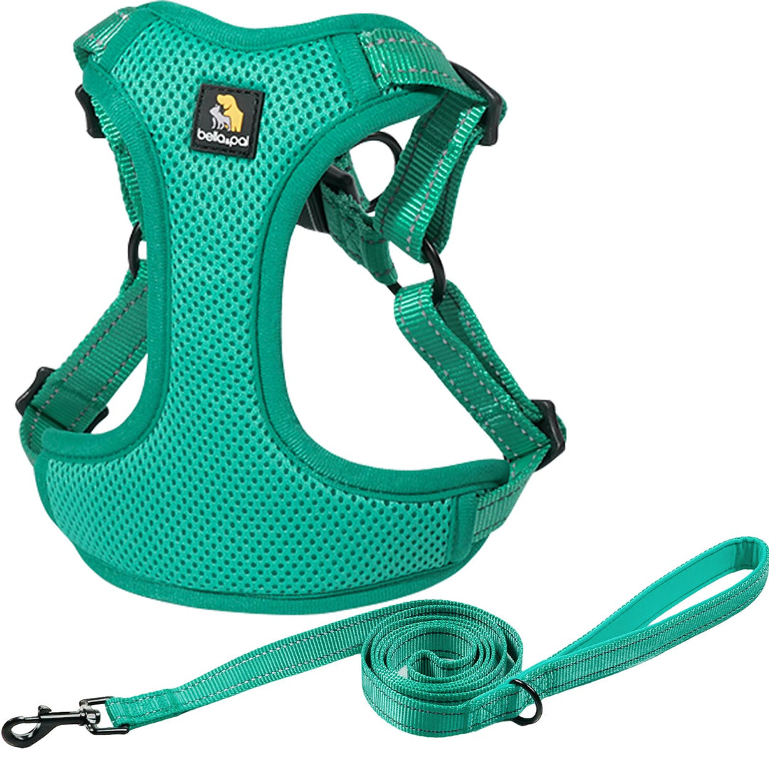 BELLA & PAL Hundegeschirr und Leine Set, Step-in Design mit atmungsaktivem Air-Mesh, reflektierenden