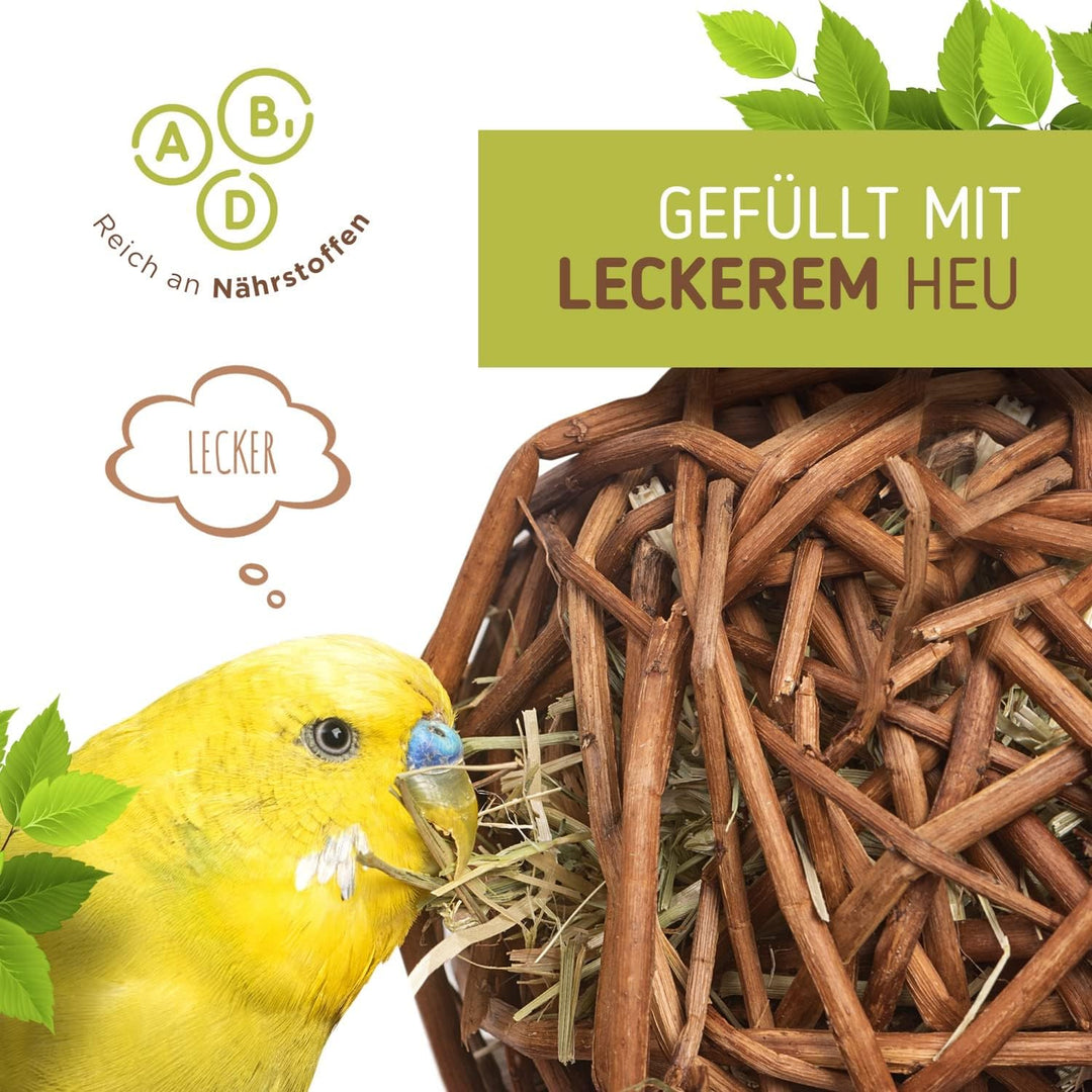 Vogelgaleria® 2er Set prall mit Heu gefüllte Weidenkugel 10cm zum knabbern und Klettern für Vögel |
