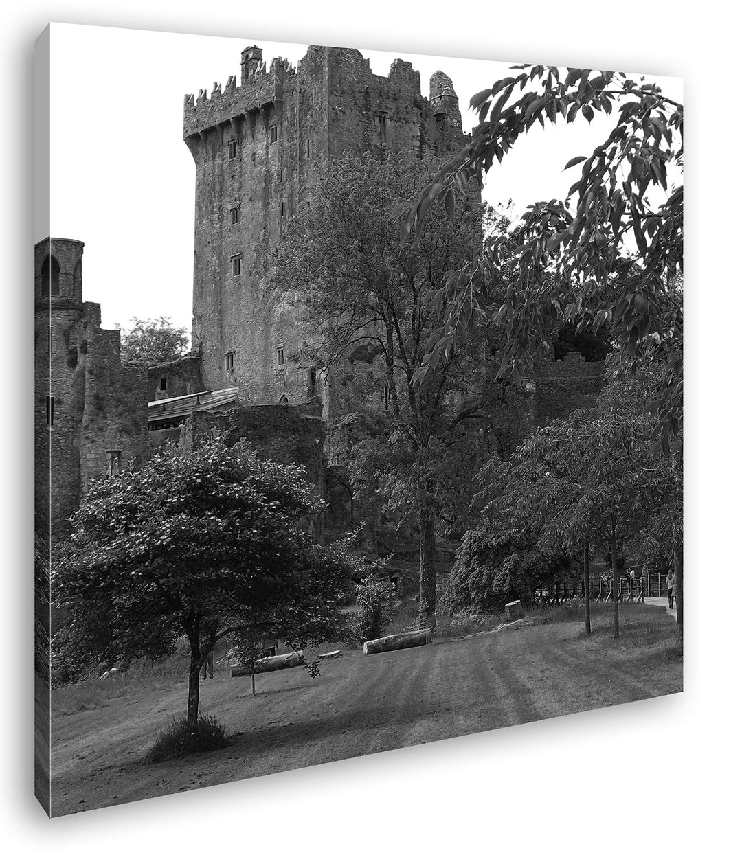 deyoli Blarney Castle in Irland im Format: 70x70 Effekt: Schwarz&Weiss als Leinwandbild, Motiv auf E