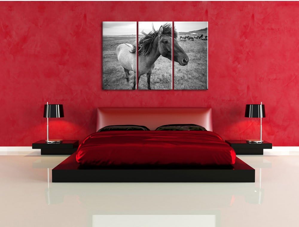 Isländer Pferde in der Wildnis / 3-Teilig/Gesamtmass 120cm Leinwandbild bespannt auf Holzrahmen/Wand